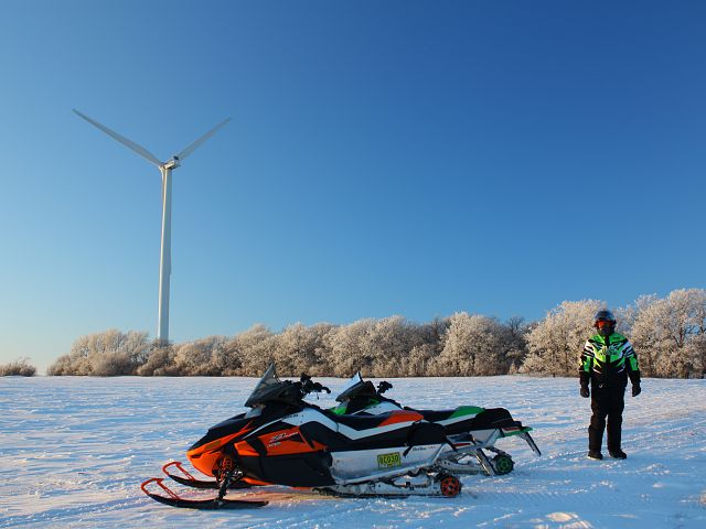Late in the day and the frost still hangs from the trees.