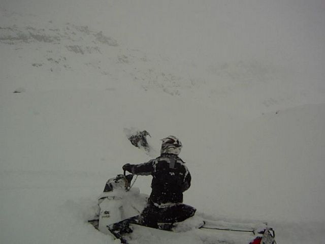 epic snow day in elkford