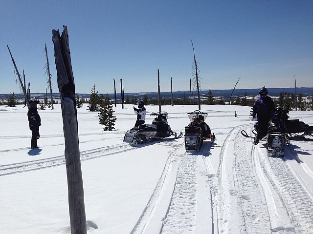 Just west yellow stone and friends 