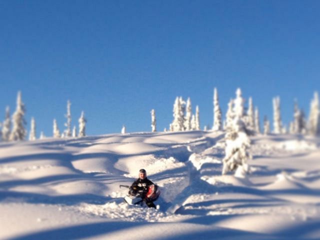 5 feet of fresh powder!!!!