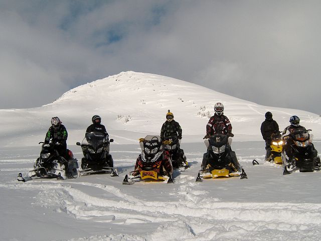 Blue bird weekend at Renshall