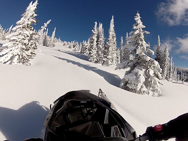 Solo blue bird climb