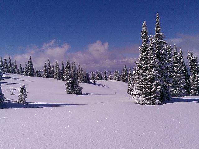 fresh powder, anyone?