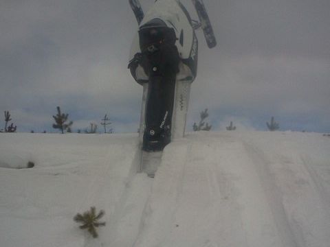 Umm, guys... My sled's stuck.