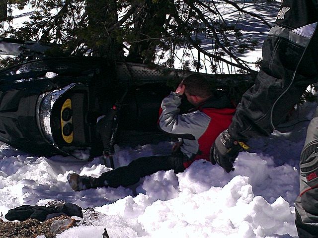 wow! it jumped out in front of me.!