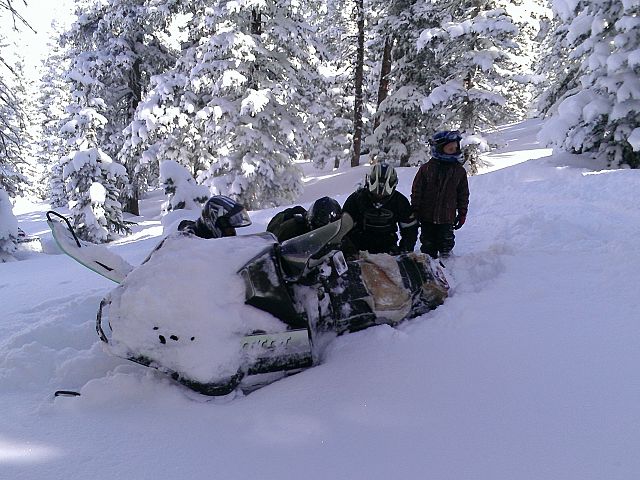 poor kitty kat! what shall we do?