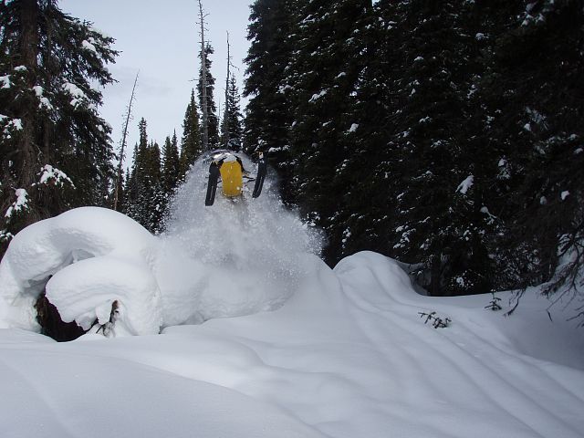 whos says you cant find a jump in the middle of the bush 