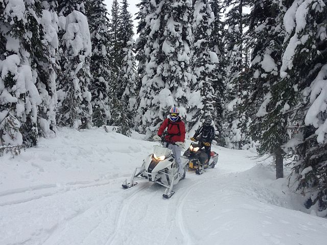 trail riding in fernie