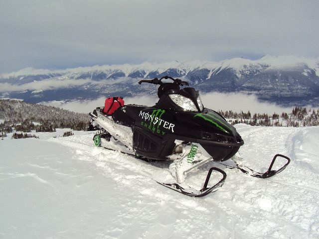 The "Monster" in the mountains!