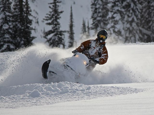 Cooper Boyle - 20 cm fresh, mostly overcast then…blue bird (Jan 10-14).