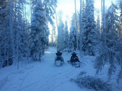 Awesome side trail we found.
