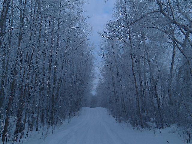 Winter Wonder land trail. 