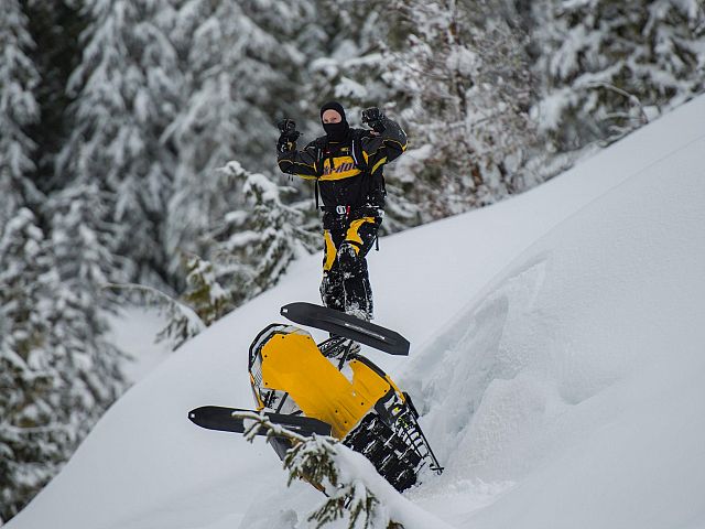 Have you seen my beach ball?