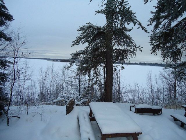 View of the lake from the shelter