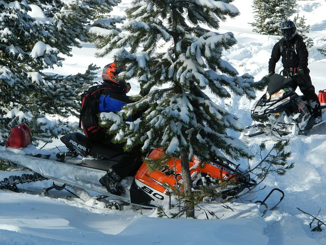 getting a little close to the trees