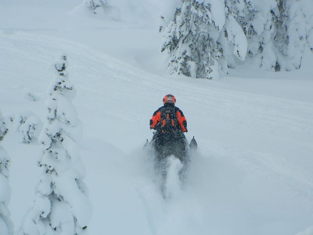rippin up the powder
