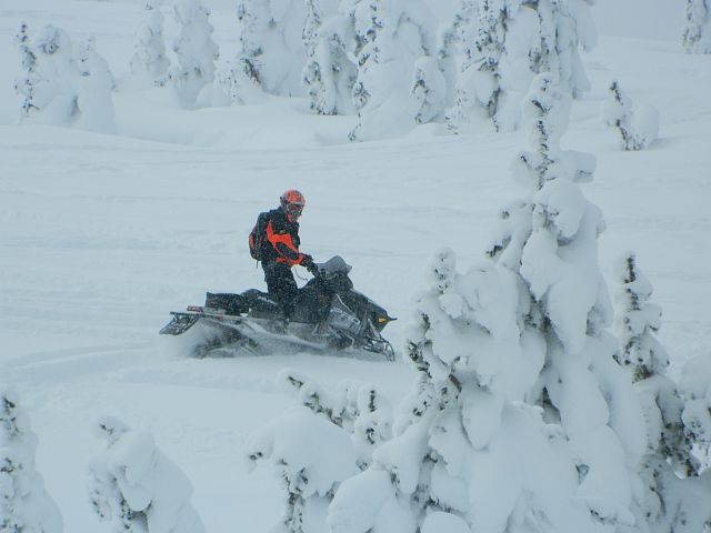 rippin through the trees