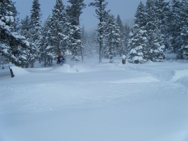 wow nice powder!