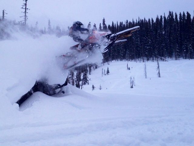 Jumping the log piles