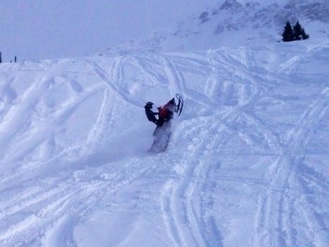 Cat walking the drift