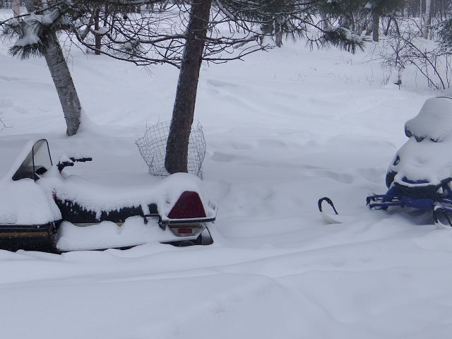 Waking up to fresh powder.