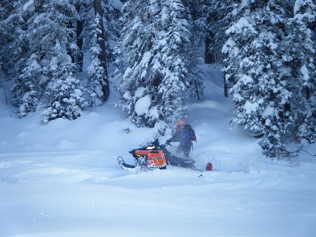 playing in the powder