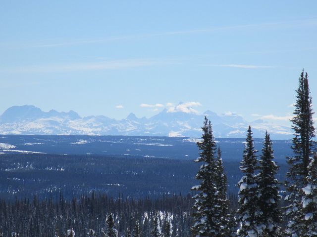View of the Grand Tetons