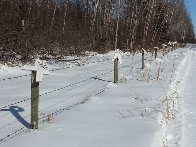 On the Trail To A Cure