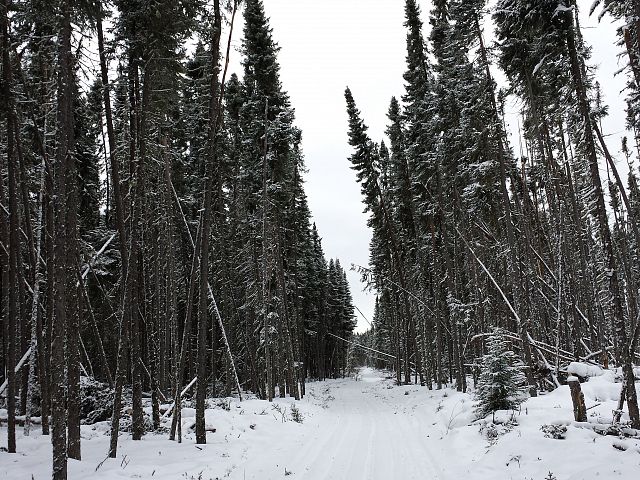 Just another beautiful trail