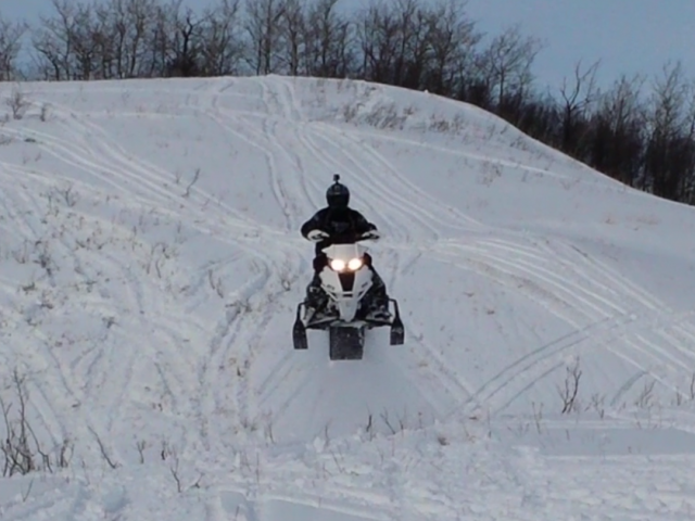 just enjoying the sun