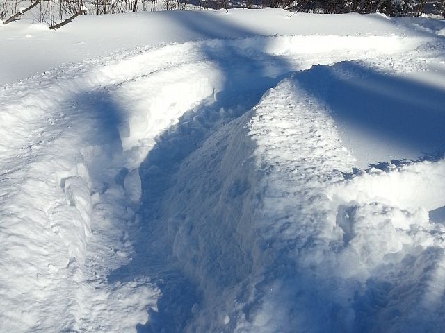 Playing in the snow on beaver dam