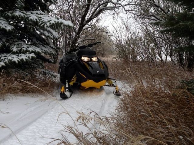 Got use of the last bit of snow left. 