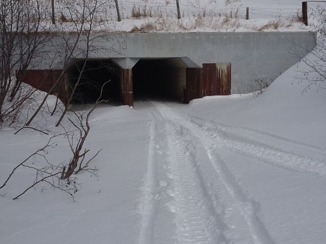 Go through tunnel but don't go any further. Turn around after the end.  Too much open water! 