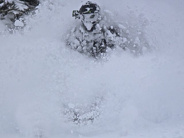 Powder King!