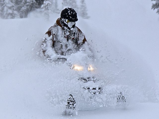 Cooper enjoying some spring time deep!