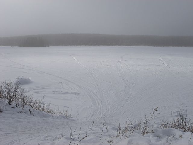 Foggy day in the Duck Mountains