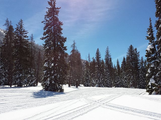 Great day for a light jacket!