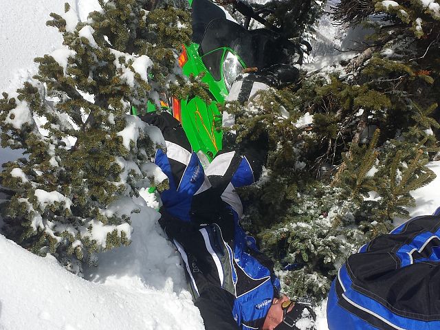 it jumped out in front of me!