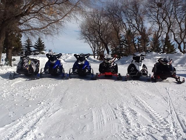Family out for a rip!