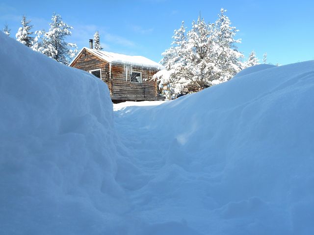 Elanore Lake Shelter