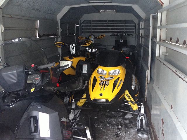 Good looking load of cows 