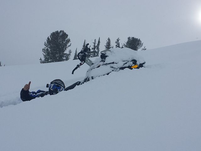 Rider: Trevor Livingston