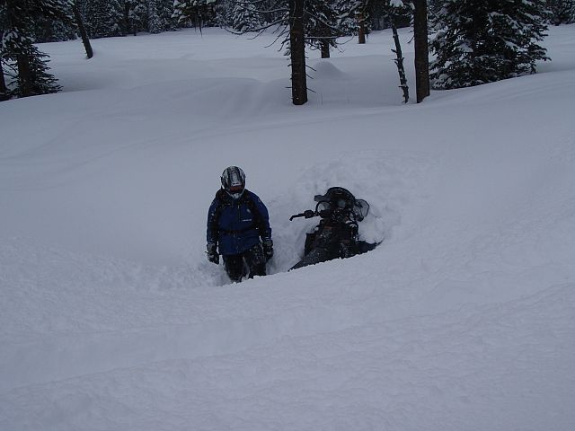 Rider: Dorito - What now?