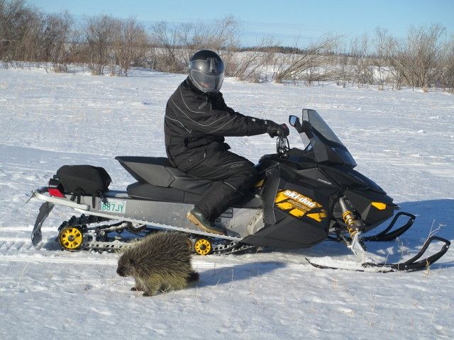 "You never know who you will meet on the trails!"