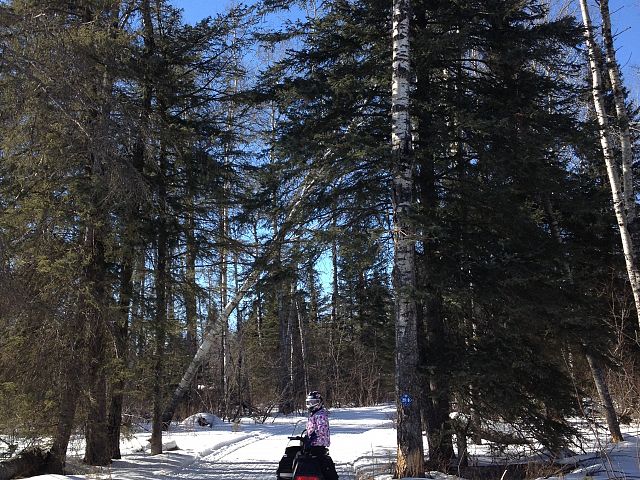 The last kick at the can