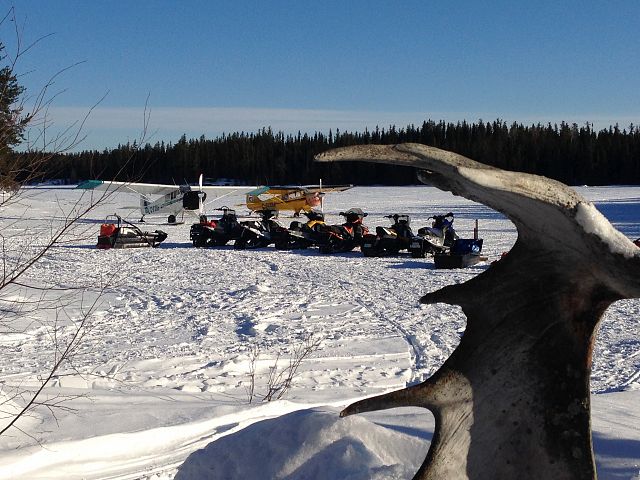 Northern Experience by sled or air