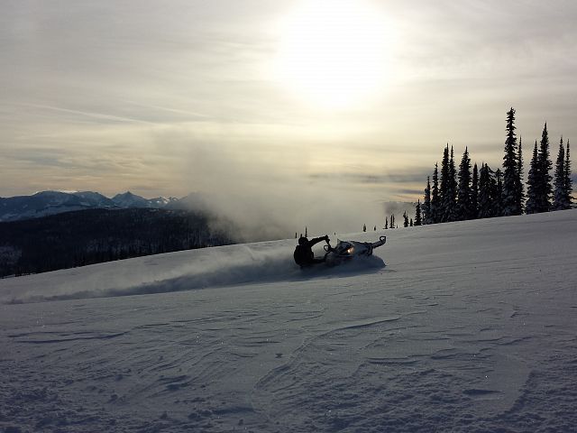 dreams are made of these days