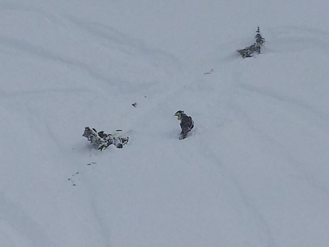 one tree on the whole hill....