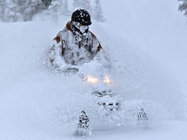 Spring 2014 big dump!!