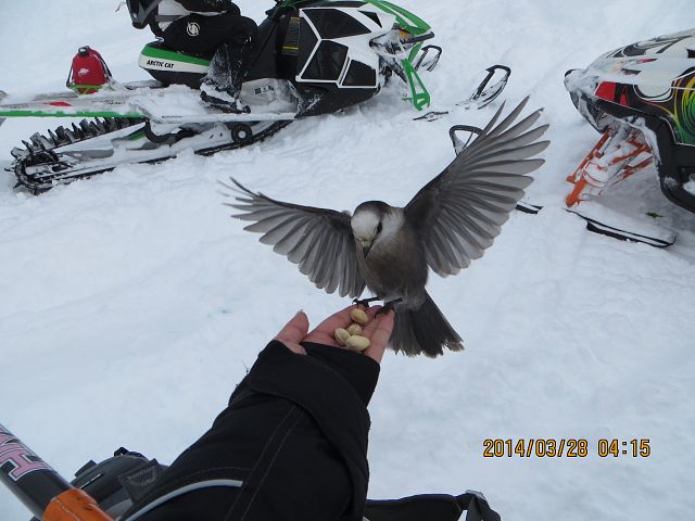 Break time with the birds!